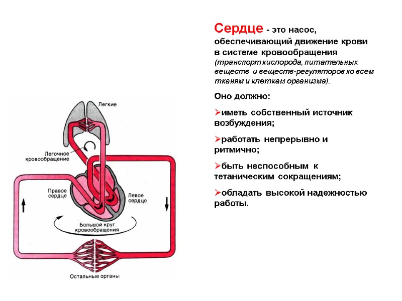 Сердце - это насос, обеспечивающий движение крови в системе кровообращения (транспорт кислорода, питательных Сердце - это насос, обеспечивающий движение крови в системе кровообращения (транспорт кислорода, питательных